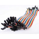 ES-40 Pin Dişi Dişi AyrılabilenF-F Jumper Kablo 200 mm