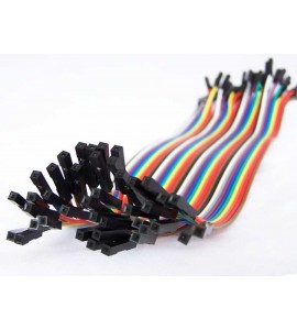 ES-40 Pin Dişi Dişi AyrılabilenF-F Jumper Kablo 200 mm