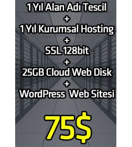 Full Web & Hosting Paketi