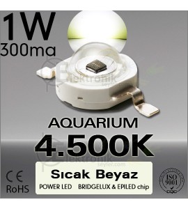 ES-LED 1W Beyaz White 4000K-4500K Bridgelux
