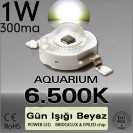 ES-Power Led 1W 6500K Bridgelux Gün Işığı Beyazı