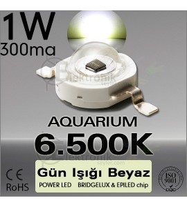 ES-Power Led 1W 6500K Bridgelux Gün Işığı Beyazı